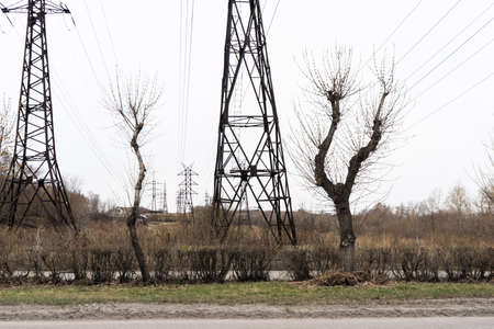 Electric city pole with gray sky and bare tree branches. High voltage pole.の写真素材