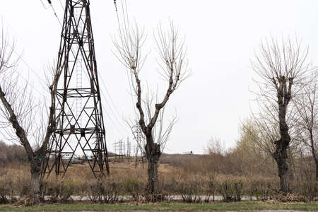 Electric city pole with gray sky and bare tree branches. High voltage pole.