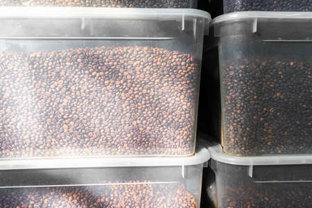 coffee beans in plastic containers. a lot of roasted coffee beans in the sun.の写真素材