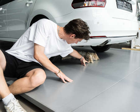young man stroking a cat. A cat lying in a new car shade.の写真素材