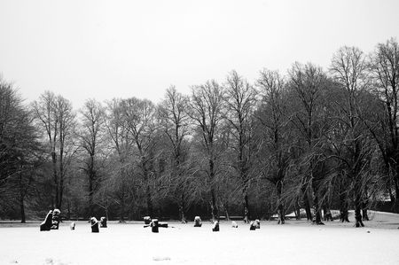 Cardiff Bute park covered by snow, horizontally framed pictureの写真素材