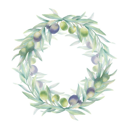Olive tree branch with fruit and green leaves. Watercolor round wreath frame isolated on white in realistic style. Hand drawn botanical illustration for product label, logo, greeting, wedding card.の写真素材