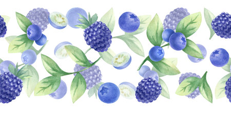 Blueberry and blackberry watercolor seamless border. Hand drawn isolated illustration juicy wild berries bilberry and dewberry. Banner for kitchen textile, food packaging, healthy food and recipes.の写真素材