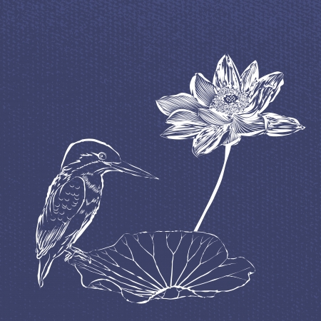 Sketch practices Lotus and birdsのイラスト素材