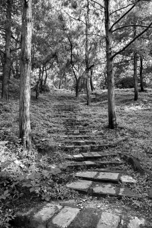 Stone staircase leading up a walkway