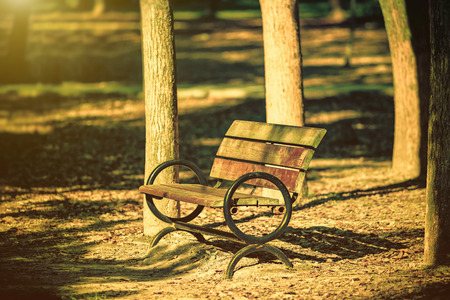 Park bench in the sunshineの写真素材