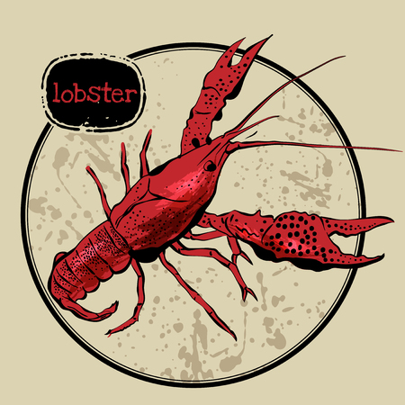Red lobster with ink brushed styleのイラスト素材