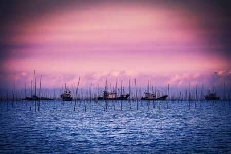 Seaweed plantation in Fujian Province, China