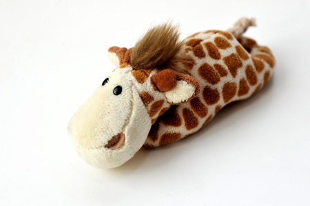 Toy giraffe on a white backgroundの写真素材