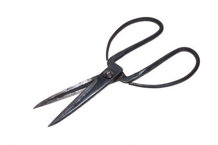 Old rusty scissors isolated on white backgroundの写真素材