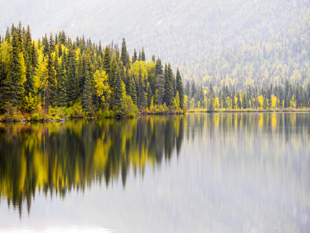 Alaska fall color reflected in a wild river, near Denali National Park