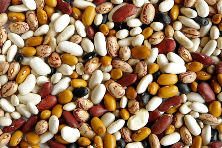 Assorted beans on white backgroundの写真素材