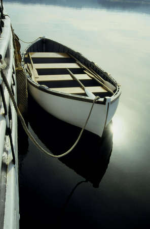 Dory in the morningの写真素材