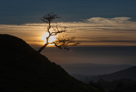 A stark bare silhouetted tree on the Black Mountain in South Walesの写真素材