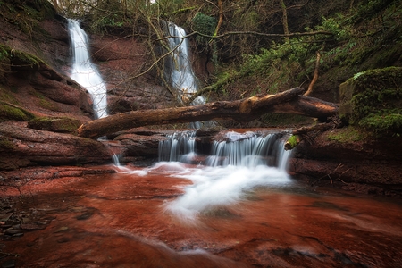 Fallen trees at the waterfalls in Pwll y Wrach Nature Reserve near Talgarth, South Wales.の写真素材