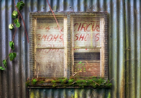 A boarded and secured window in an old corrugated tin shedの写真素材
