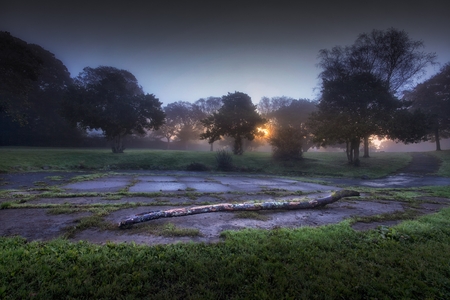 Autumn dawn at Ravenhill Parkの写真素材