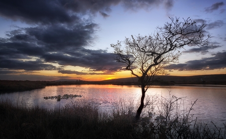 Sunset at Broad pool, a small lake on the northern end of the Gower peninsula at the base of Cefn Bryn, Swansea, South Wales, UKの写真素材