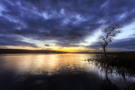 Blue hour at Broad pool, a small lake on the northern end of the Gower peninsula at the base of Cefn Bryn, Swansea, South Wales, UKの写真素材