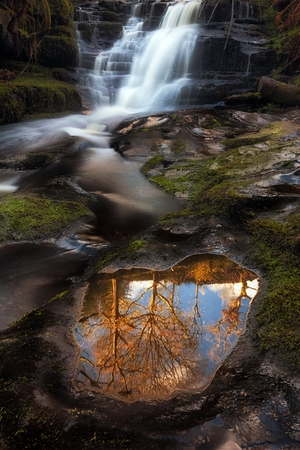 Blaen y Glyn reflection Reflection of trees and sky in a puddle at a series of closely connected...