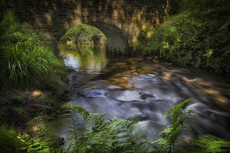 The recently renovated bridge over the Afon Llan river at Penllergare Valley Woods in Swansea, UKの写真素材
