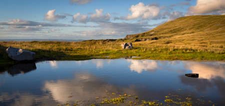 Reflections in a pool on the Black Mountain near the lime kilns, Carmarthenshire, UKの写真素材