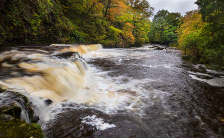 The tree lined river Tawe in the Swansea valley swollen after prolonged rainfallの写真素材