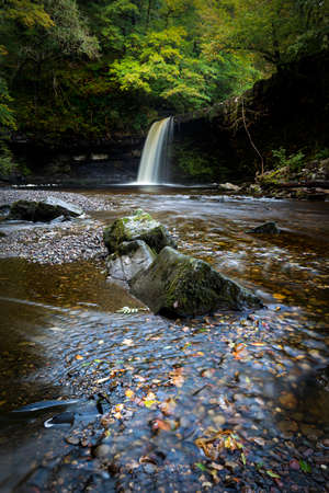 Autumn approaches on the waterfall known as Lady Falls or Sgwd Gwladus on the river Afon Pyrddin near Pontneddfechan, South Wales, UKの写真素材