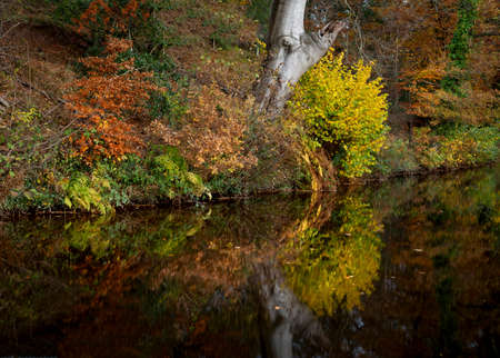 Autumn reflections on the Monmouthshire and Brecon Canal in South Wales UKの写真素材