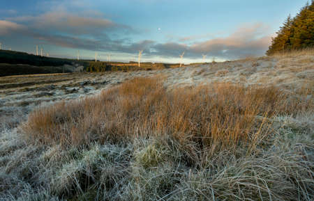 Wind turbines, the moon and frost covered grass on the Rhigos mountain in South Wales UKの写真素材