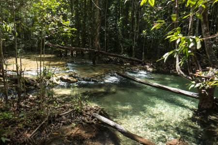 Stream in a natural area at Emerals Pool, east of Krabi in southern Thailand.の写真素材
