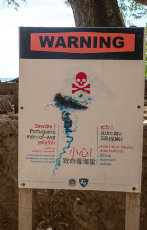 Warning for occurrence of the jellyfish Portuguese man-of-war, at Ao Phra Nang Beach, near Ao Nang in southern Thailand.のeditorial素材