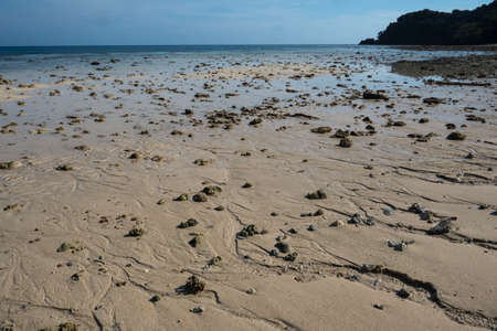 Sandy beach at low tide on the small island of Koh Kradan in southern Thailand.の写真素材