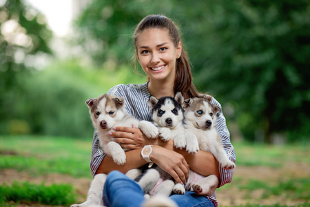 A beautiful smiling woman with a ponytail and wearing a striped shirt is holding three sweet husky puppies on the lawn. Love and care for pets.の写真素材