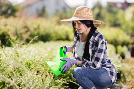 Young female gardener watering the plants in gardenの写真素材
