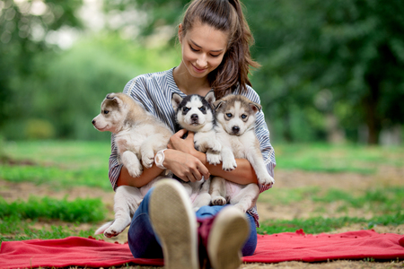 A beautiful smiling woman with a ponytail and wearing a striped shirt is holding three sweet husky puppies on the lawn. Love and care for pets.の写真素材