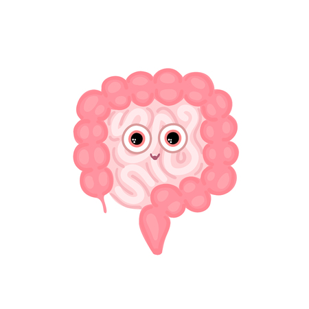 Vector intestines. Digestive tract. Large and small intestine. Digestion. Gastroenterology. Flat design. Cute character. Health care. It can be used for medical banner, poster, flyer, advertisementのイラスト素材
