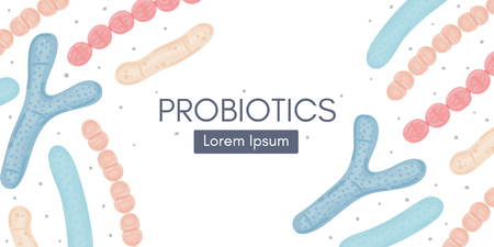 Probiotics. Bifidobacterium, lactobacillus, streptococcus thermophilus, lactococcus, propionibacterium. Medicine or dietary supplement for gastrointestinal health. Banner, header, landing page. Vectorのイラスト素材