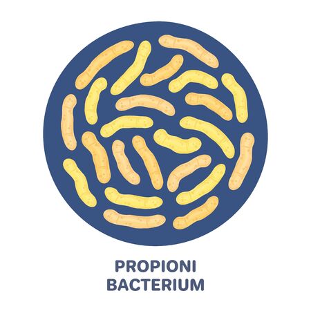 Vector probiotics in circular shape. Propionibacterium. Microbiome. Medicine or dietary supplement. Brochure, flyer, label, cover, poster, banner, package, advertising, presentation. Yellow colorsのイラスト素材