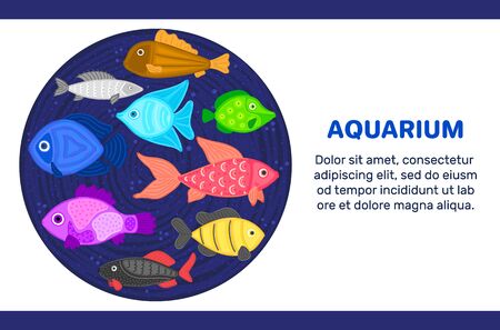 Vector colorful cartoon fish in circular shape. Undersea world. Aquarium. Cute marine life. Pisces.のイラスト素材