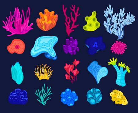 Vector set of hand drawn corals. Colorful sea or ocean life. Design elements for poster, cover, package, postcard, brochure, flyer, banner for water park, aquarium or marine exhibition. Sticker, labelのイラスト素材