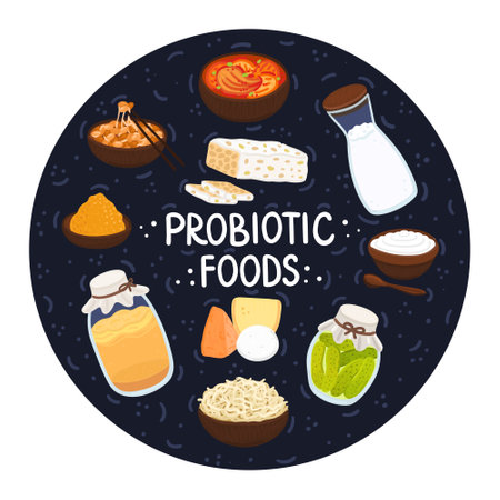 Vector probiotic foods. Best sources of probiotics. Beneficial bacteria improve health. Design is for label, brochure, menu, poster, advertising banner, article about diets, healthy proper nutritionのイラスト素材