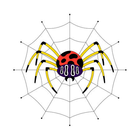 Poisonous spider on web. Halloween spooky cartoon character isolated on white background. Flat style with black outlineのイラスト素材