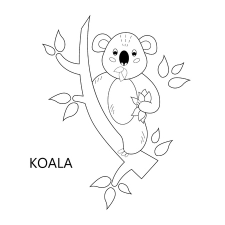 Coloring book page for children. Cartoon koala. Vector illustrationのイラスト素材