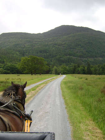 horse roadの写真素材