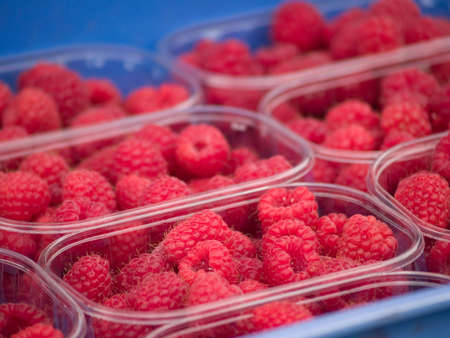 raspberriesの写真素材