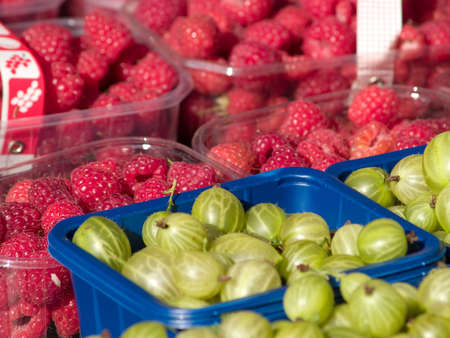 berriesの写真素材