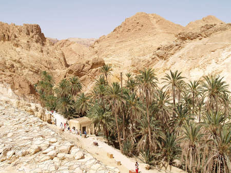 oasis    の写真素材