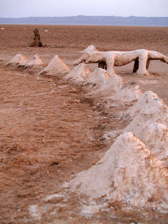 salt lake     の写真素材