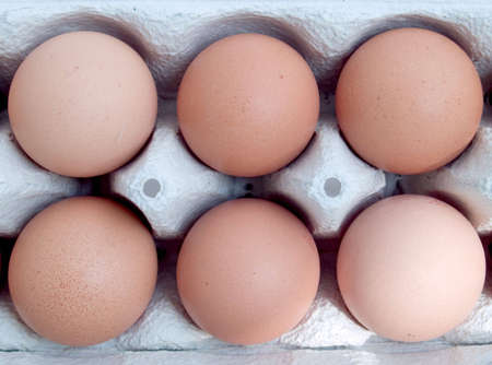 eggsの写真素材